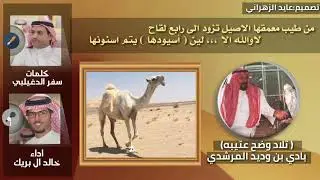 تلاد وضح عتيبه الهيلا لها قصة نجاح ||كلمات:سفر الدغيلبي أداء خالد آل بريك