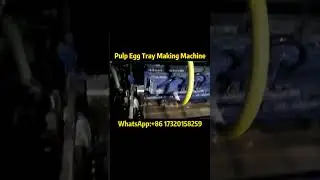 Pulp Egg Tray Machine | Eco-Friendly Packaging Production 🥚📦#eggtraymachine #eggtray