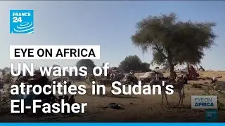 Fears of mass atrocities after Sudan's El-Fasher falls to paramilitaries &bull; FRANCE 24 English