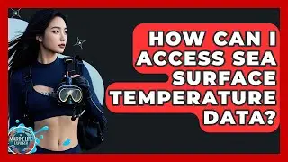 How Can I Access Sea Surface Temperature Data? - The Marine Life Explorer