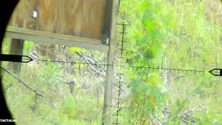 243 WSSM with tailored reloads