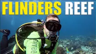 Scuba Diving FLINDERS REEF - South East Queensland's Most POPULAR Reef 🇦🇺