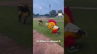 Mascot Head Went Flying!🤣#shorts #espn #baseball #nfl