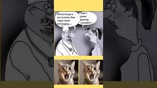 #shorts #shortvideo #new #viral #video #funny #юмор #шуточное #смех #анекдоты #ржакадосліз #муж