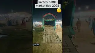 northern bypass mandi new latest update | karachi cattle market flop