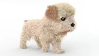 Maltipoo Dog Puppy 3D Model Animated | PROmax3D