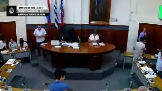 Sesión Extraordinaria Nº 30