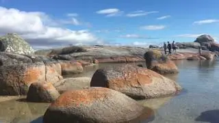 Zeesa in East Coast of Tassie