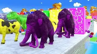 Long Slide Game With Elephant Gorilla Buffalo Hippopotamus Tiger - 3d Animal Game - Funny 3d Animals
