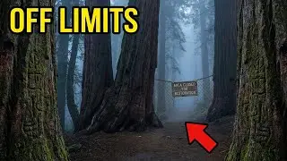 6 Restricted Areas Inside Yosemite They Don't Want You to Enter