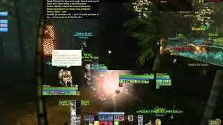 Kaos in Hasla