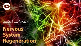 Nervous System Regeneration - guided meditation (hypnosis for physical healing)