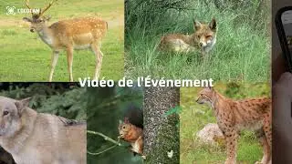 CC-ZY-G6-TCEU4G COCOCAM AOV 4G Camera de Chasse Sans WiFi Avec Double SIM Double Veille