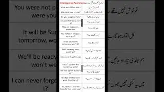 Interrogative sentences in English