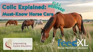 Think Like a Vet, Feed Like a Pro: Colic Strategies THAT WORK - FeedXL Webinar w Dr Lizzie McCready