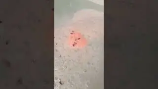 the best CBD bath bomb explodes in tub