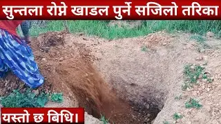 सुन्तला रोप्ने खाडल पुर्ने सजिलो तरिका||Suntala Kheti in Nepal||Orange Farming||@MinuBudha