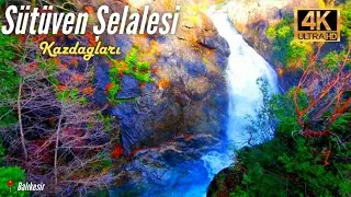 Kazdağları Sütüven Şelalesi Doğa Gezisi | Kazdağları Milli Parkı | Balıkesir'de Gezilecek Yerler