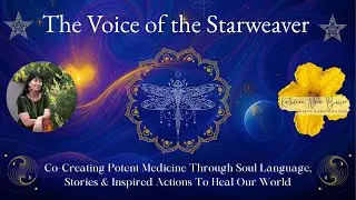 The Soft Heart Path Ancestral Healing Through the Grace of the Venus Sequence ~ Stacy Dicker Ph.D.
