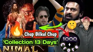 🔷Dunki Vs Salaar & Animal Collection | animal movie review