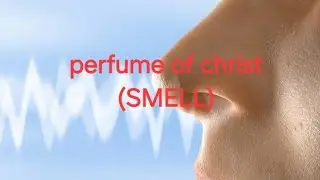 Perfume of Christ(smell in life or death)-map art