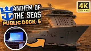 Anthem Of The Seas Public Deck 5 | Tall Man's Cruise Adventures