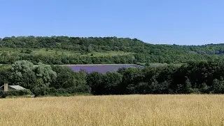 Lullingstone Country Park & Views of Castle Farm Lavender