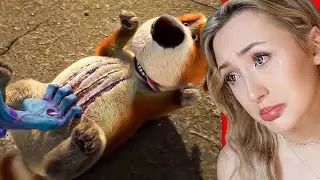 Try Not To CRY Challenge (impossible)
