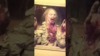 The Haunted World: Skullvaina