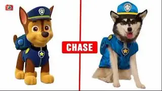 Paw Patrol in real life | Paw Patrol Chase
