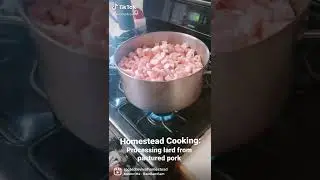 Homestead Cooking: Processing lard from pastured pork