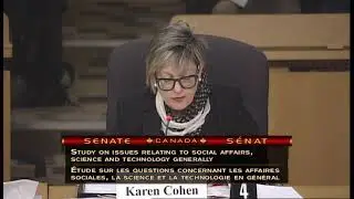 CPA Presentation to SOCI on Youth Mental Health