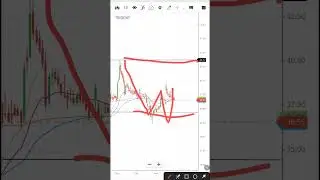 trident company multibagger stock target 40+, trident stock latest news