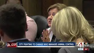 Kansas City to consider outsourcing animal control to KC Pet Project