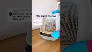 Finally, a litter box that actually works! #cat #bsh #pets #catshorts #catlitterbox #shorts #cats