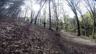 Scott Gambler 730 2015