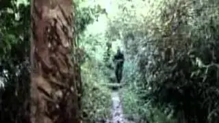 EJÉRCITO DEL PERÚ, EN ACCIÓN EN EL PUTUMAYO