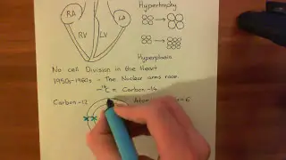 Introduction to Cardiac Hypertrophy Part 1