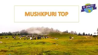 Mushkpuri top I A trip to Mushkpuri top I Nathia Gali I Mushkpuri Peak I Hiking to Mushkpuri top