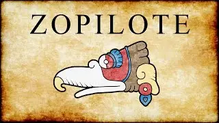 ZOPILOTE - VULTURE - COZCACUAUHTLI