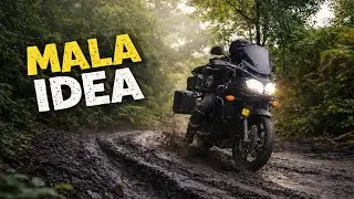 Entramos al p&aacute;ramo buscando osos&hellip; y casi no salimos