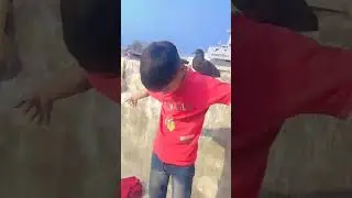 pigeon King life real Village story