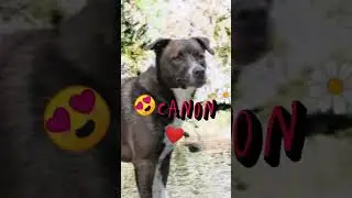 canoooon ❤️