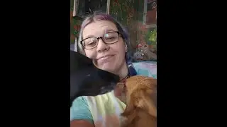 2.1.26 Writing update: codependency, dissociation, therapy aversion, talk therapy, & self-expression