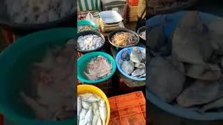 Do you like fish? Amazing market of Ratnagiri.. #viral #foodiesofindia