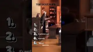 Top 5 Cat Slips #cat #funny #slipsandfalls