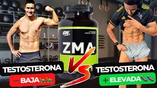 DO PRO-HORMONES REALLY WORK?