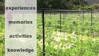 Wine Tourism South Africa