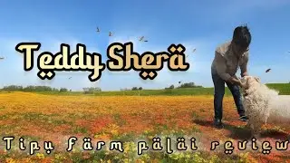 Tipu sheep and goat farm Bengaluru Palai review from customer ❤️ Teddy Shera 🦁