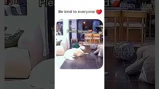 Be kind to everyone ❤️     #love #kindness #dog #baby